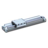 Бесштоковый пневмоцилиндр SMC MY2H25TFG-300