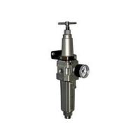 Фильтр воздушный с регулятором давления SMC AW60-F10BG-2-B-X425